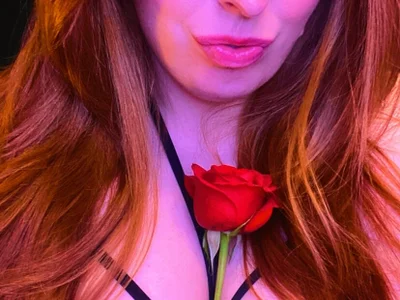 Profile preview